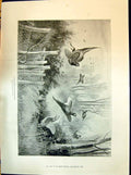 Old 1898 War Corner Christmas Time Birds Hunting Scene Henry Stannard Victorian