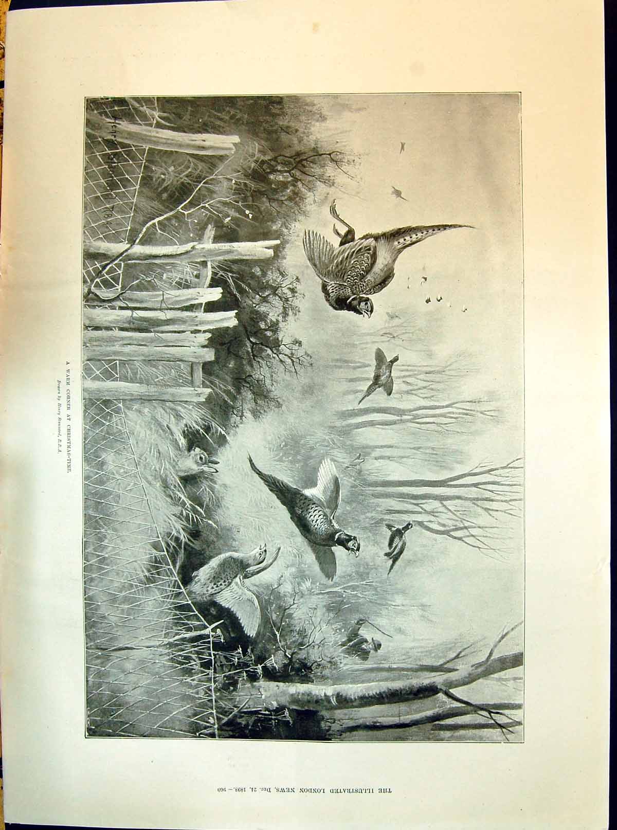 Old 1898 War Corner Christmas Time Birds Hunting Scene Henry Stannard Victorian