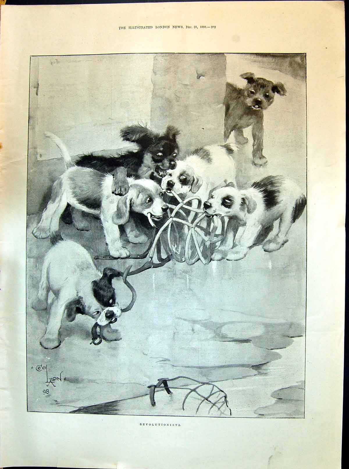 Old 1898 Revolutionists Puppies Playing Bridge Sighs Venice Doge'S Pa Victorian