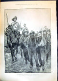 Old Print 1899 Transvaal War Boer Prisoners Colonel Neeld HousehCavalry 19th