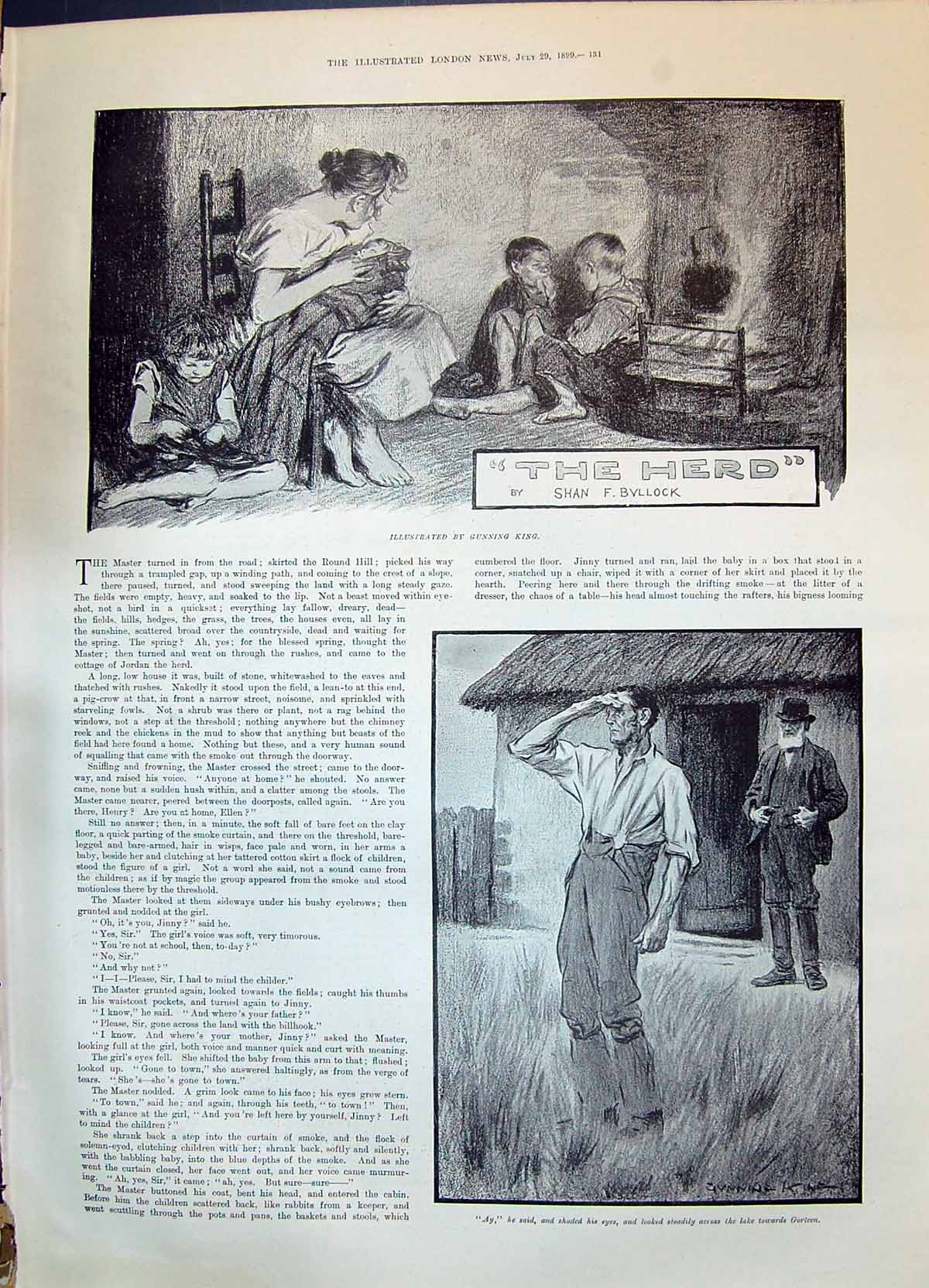 Old 1899 Story Illustration The Herd Shan Bullock Gunning King Donkey Victorian