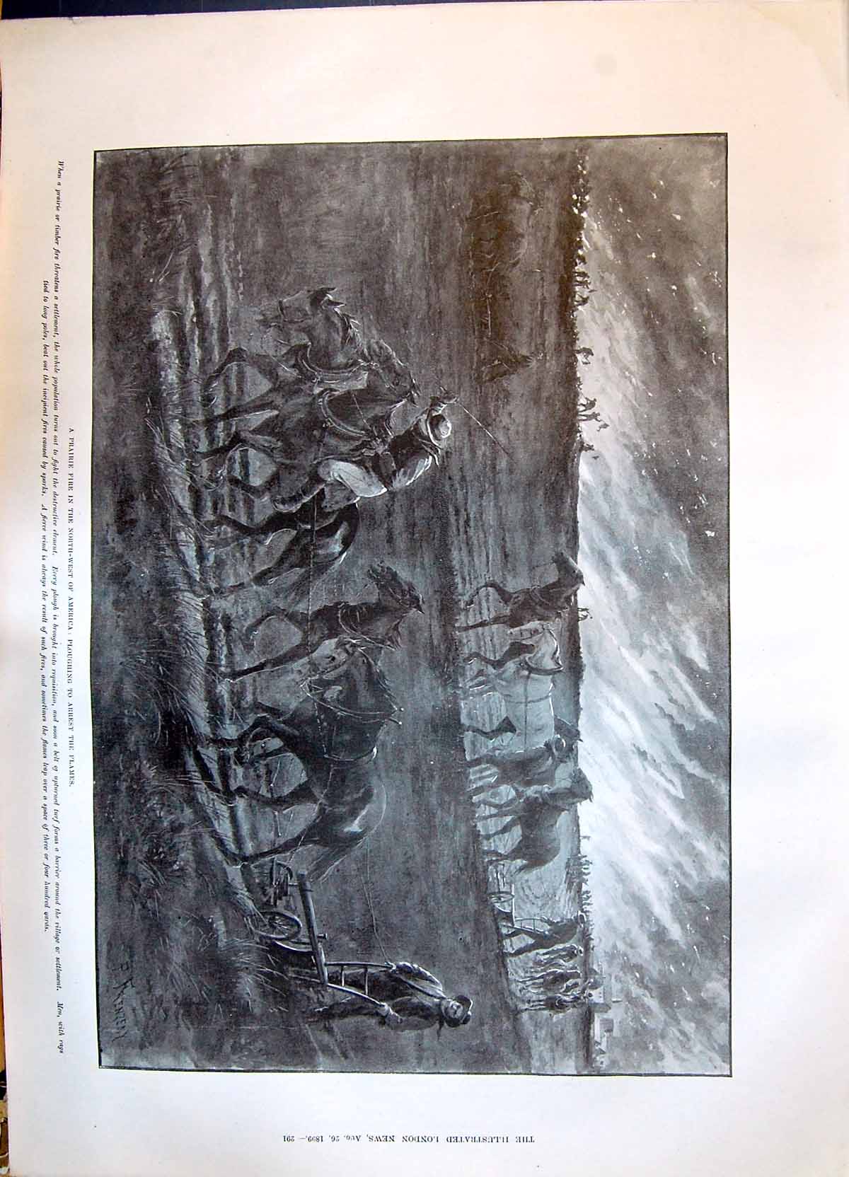 Old 1899 Prairie Fire America Horses Farmers Ploughing Arrest Flames Victorian