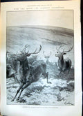 Old 1899 Devon Somerset Staghounds Hunting Stags Hounds Exford Bridge Victorian