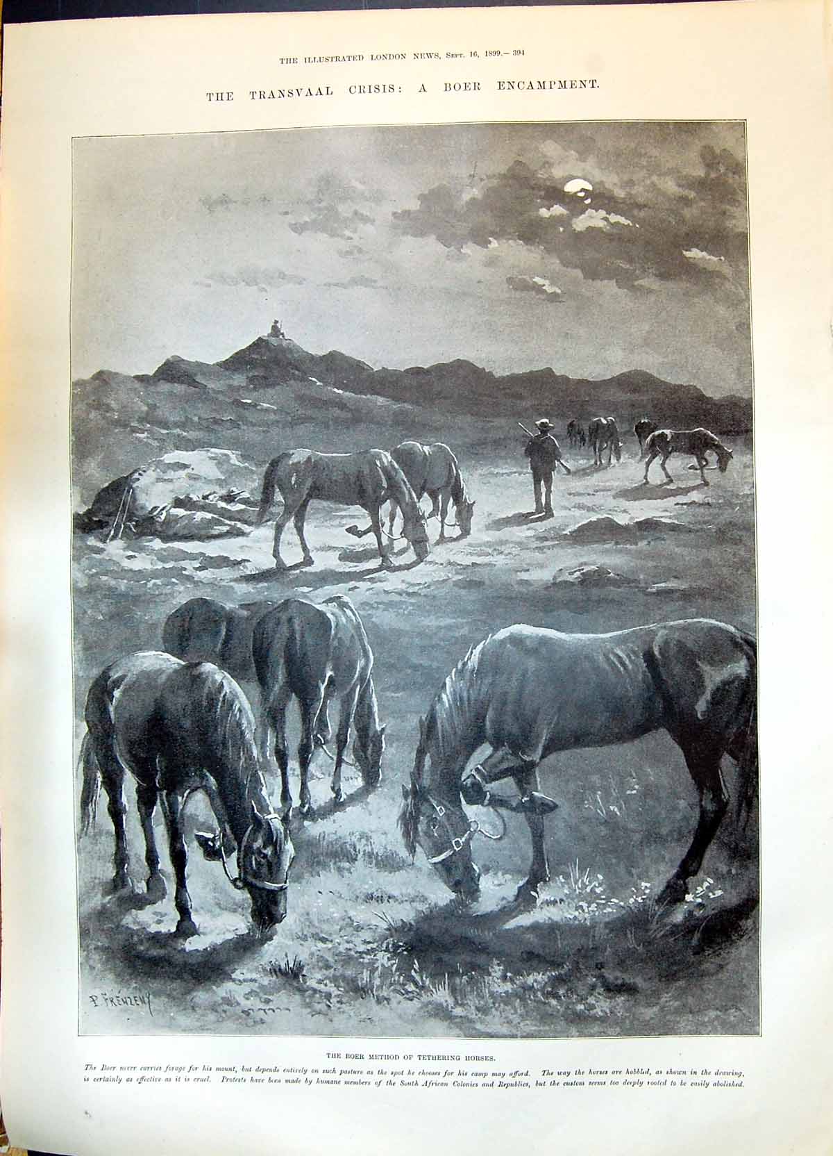 Old 1899 Transvaal War Boer Tethering Horses Kings Dragoon Scots Grey Victorian