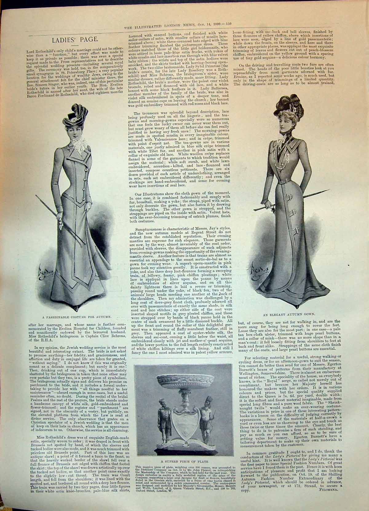 Old 1899 Ladies Fashion Autumn Costume Gown Dresses Plate John Fleure Victorian