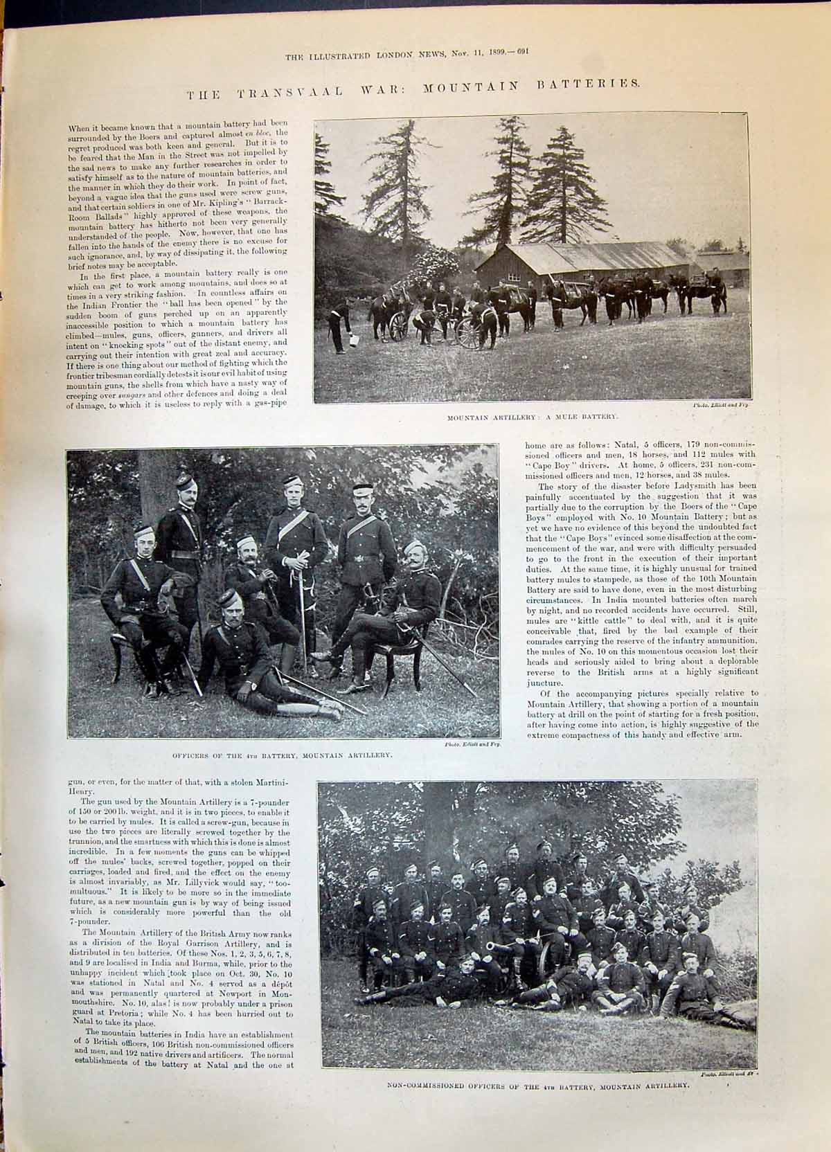 Old 1899 Transvaal War Mountain Artillery Mule Battery Officers Photo Victorian