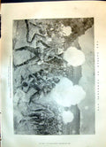 Old Print 1899 War Battle Lombard'S Kop Leicestershire Siers Ladysmith W 19th