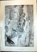 Old 1900 Transvaal War Sniper Mafeking Aberdeen Ship Medic Melbourne Victorian