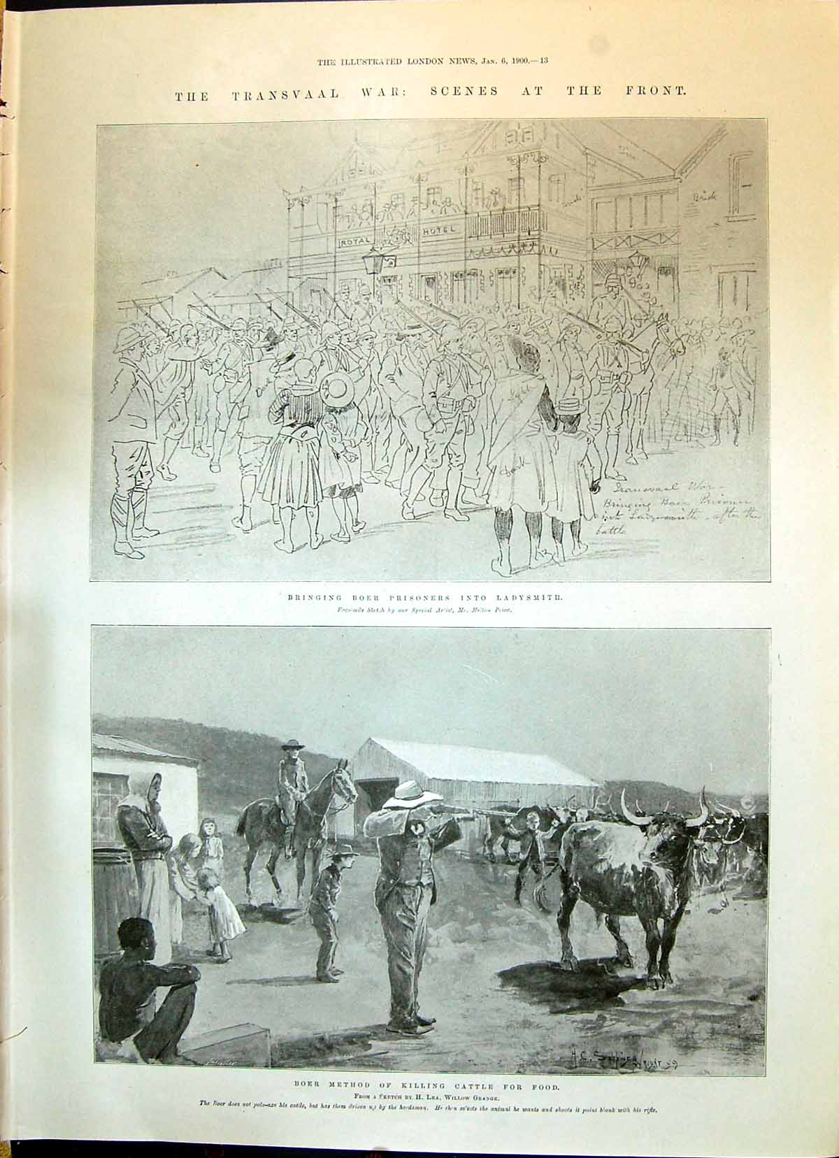 Old 1900 Transvaal War Boer Prisoners Ladysmith Killing Cattle Food L Victorian
