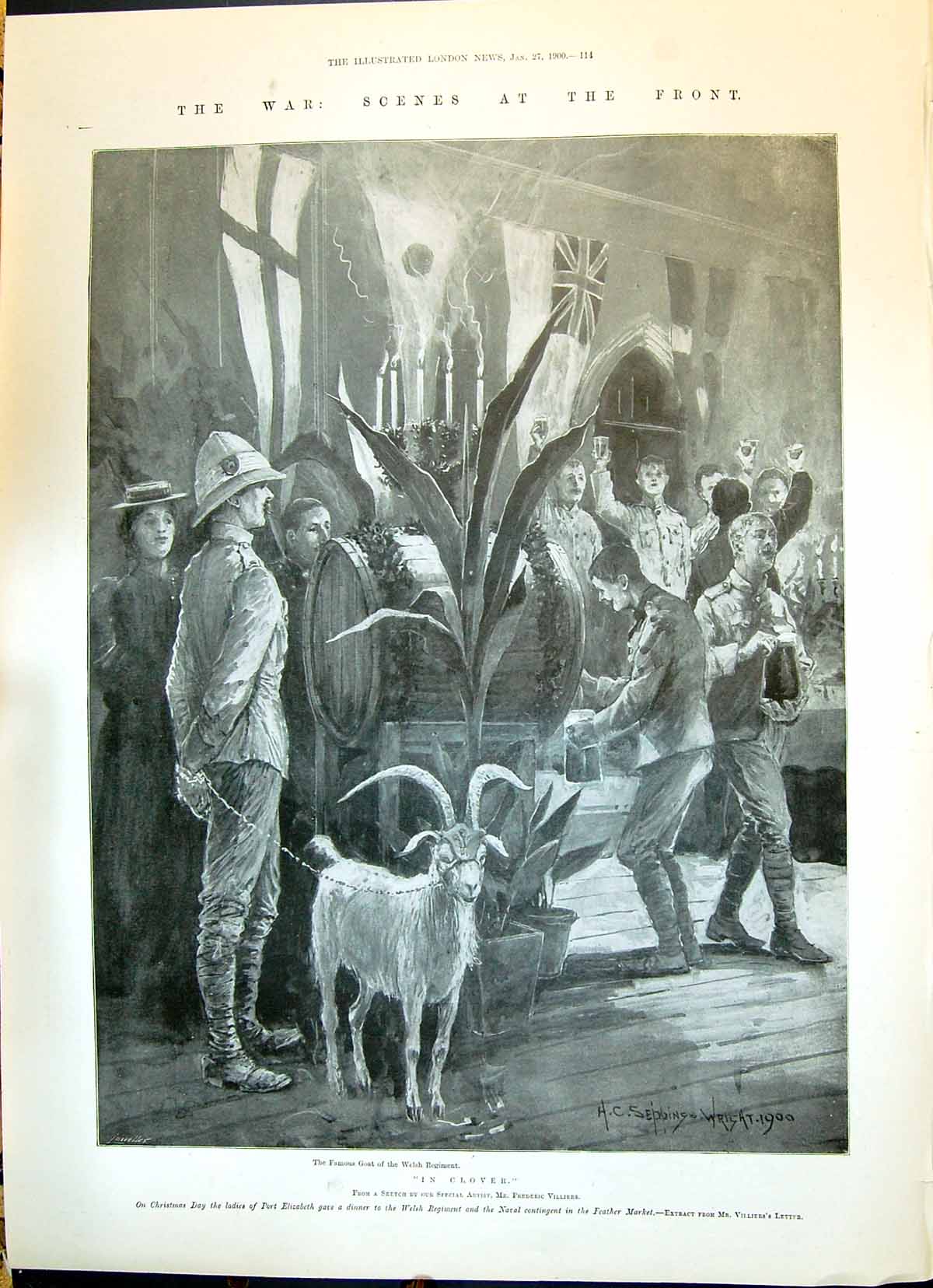 Old 1900 War Goat Welsh Regiment Port Elizabeth Northcote Dundonald C Victorian