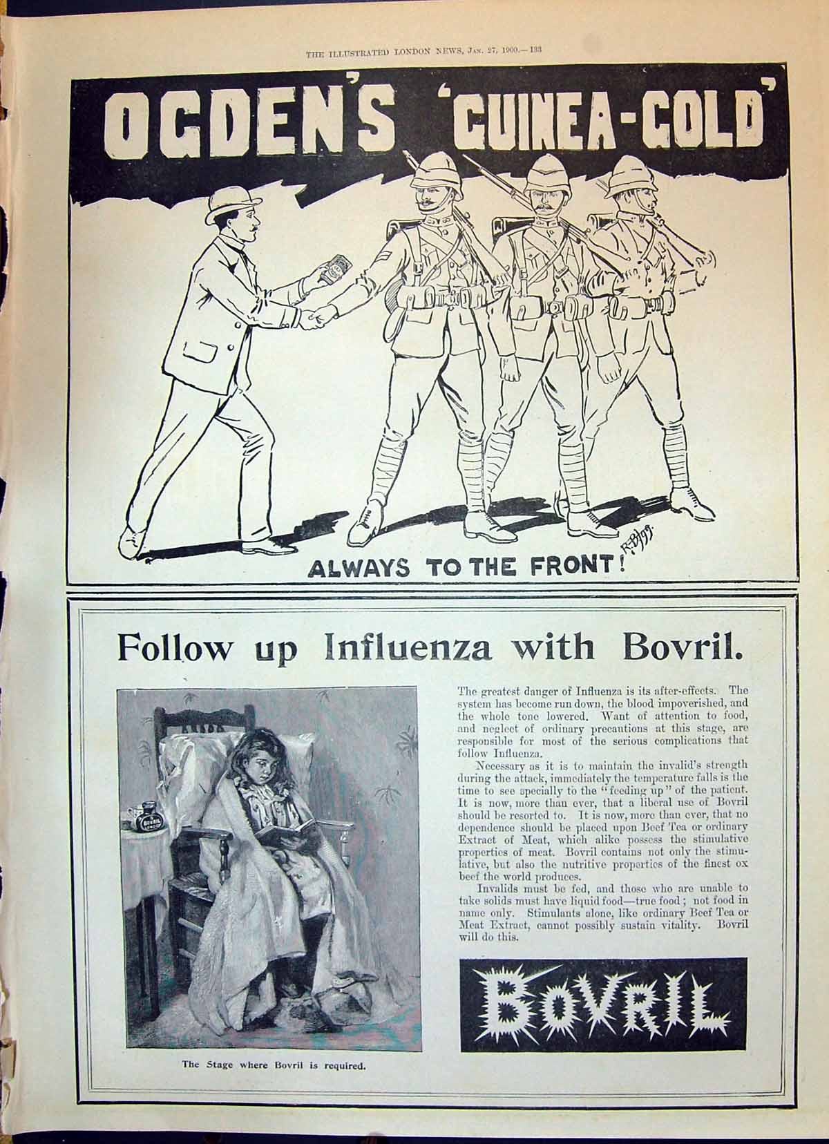 Antique Print 1900 Advertisement Ogden'S Guinea GCigarettes Bovril Meat Ext