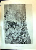 Old 1900 War Relief Column Ladysmith Joubert Mivart Tuck Cooper Fairf Victorian