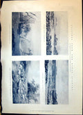 Old 1900 Newtrain Madrip England Spring Sheep War Africa Denny Rose C Victorian