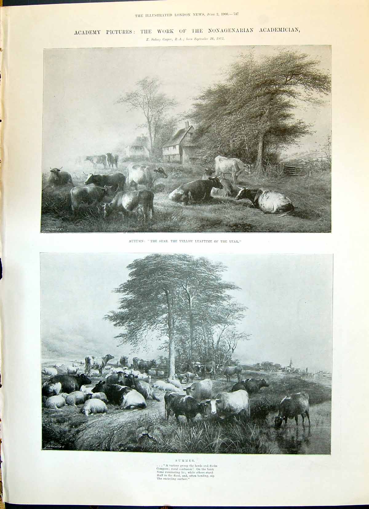 Old 1900 Autumn Animals Summer Cows Ladies Fashion Gown Frock Essex A Victorian
