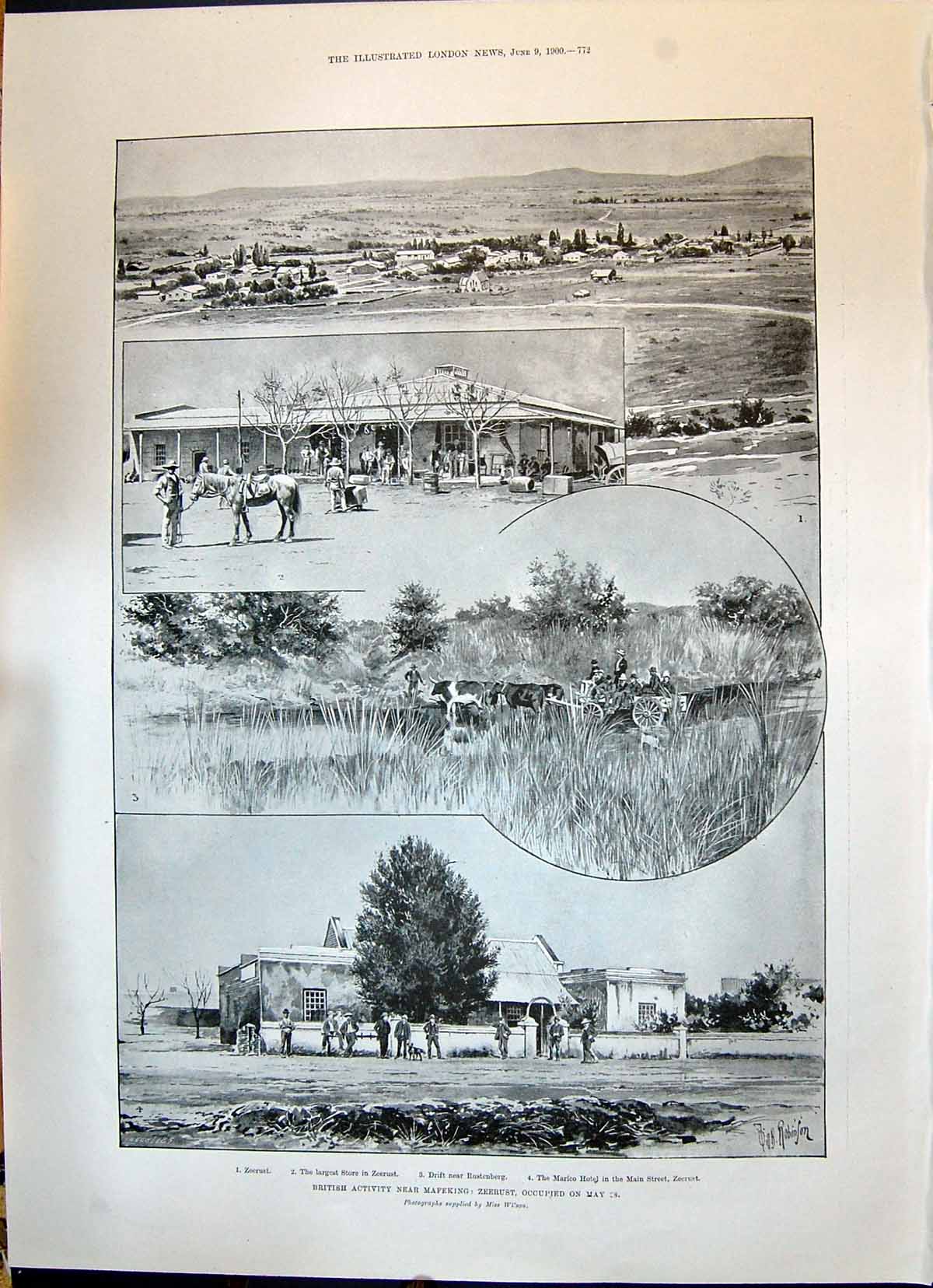 Old 1900 War British Mafeking Zeerust Marico Hotel Rustenberg Horse C Victorian
