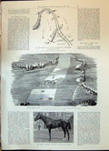 Old 1900 Taku Forts Pei-Ho River Horse Jersey Merman Ascot Hall Joinv Victorian