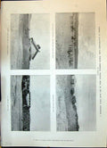Old 1900 Naauwpoort Camp General French War C.I.V. Harris Lees Lonsda Victorian