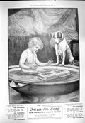 Original Old Antique Print 1900 Monkey Brand Soap Earl De La Warr Africa Mappin