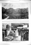 Old Antique Print 1900 Nitral'S Nek Lincolns Duke Saxe-Coburg-Gotha Ship 20th