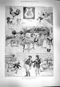 Original Old Antique Print 1900 Dairy Show Agricultural Animals Andree Balloon