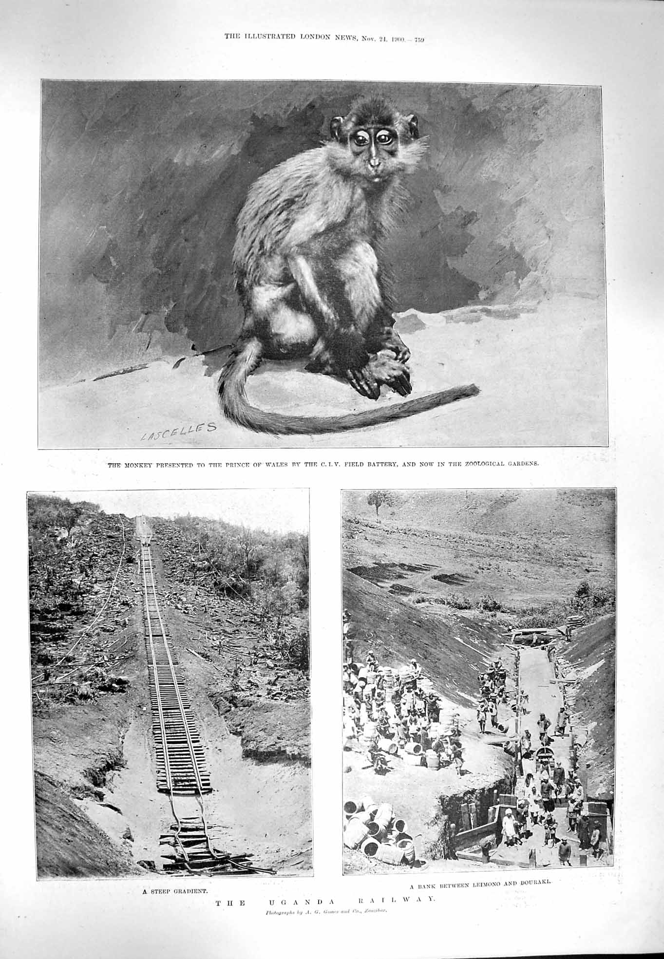 Old Antique Print 1900 Monkey C.I.V. Uganda Railway Sultan Hamid Bridge 20th