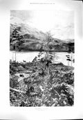Original Old Antique Print 1900 Hind Shooting Deer Hunting Stag Labourer Family