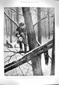 Original Old Antique Print 1900 Black Sable Trapping China Saghalien Hunting