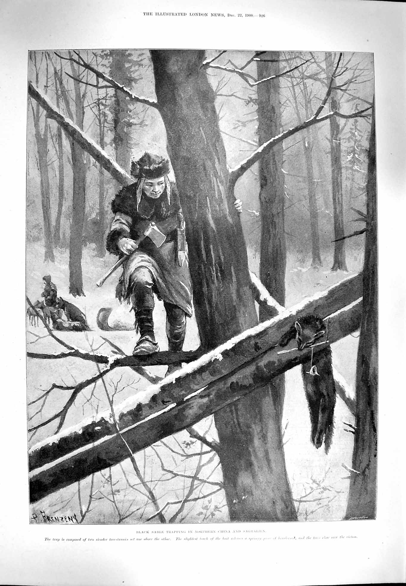 Original Old Antique Print 1900 Black Sable Trapping China Saghalien Hunting
