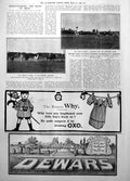 Old British Sport Egypt Officers Gymkhana Ghezireh Affinity Stakes 1906 20th