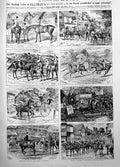 Old Print Healing Values Ellimans Embrocation Clevedon House Thames 1906 20th