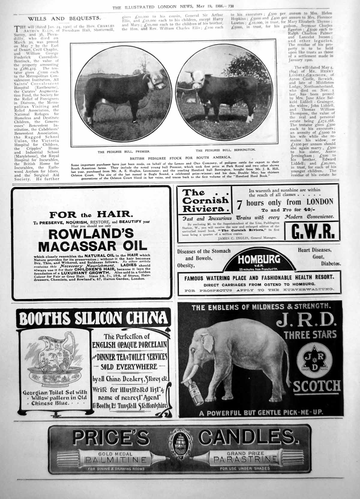 Old Print British Pedigree Stock For South America Bulls Premier Berrington1906