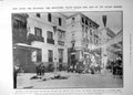 Old After Bomb State Coach Killed Horse Spanish Beauty Gypsy Carmen1906 20th