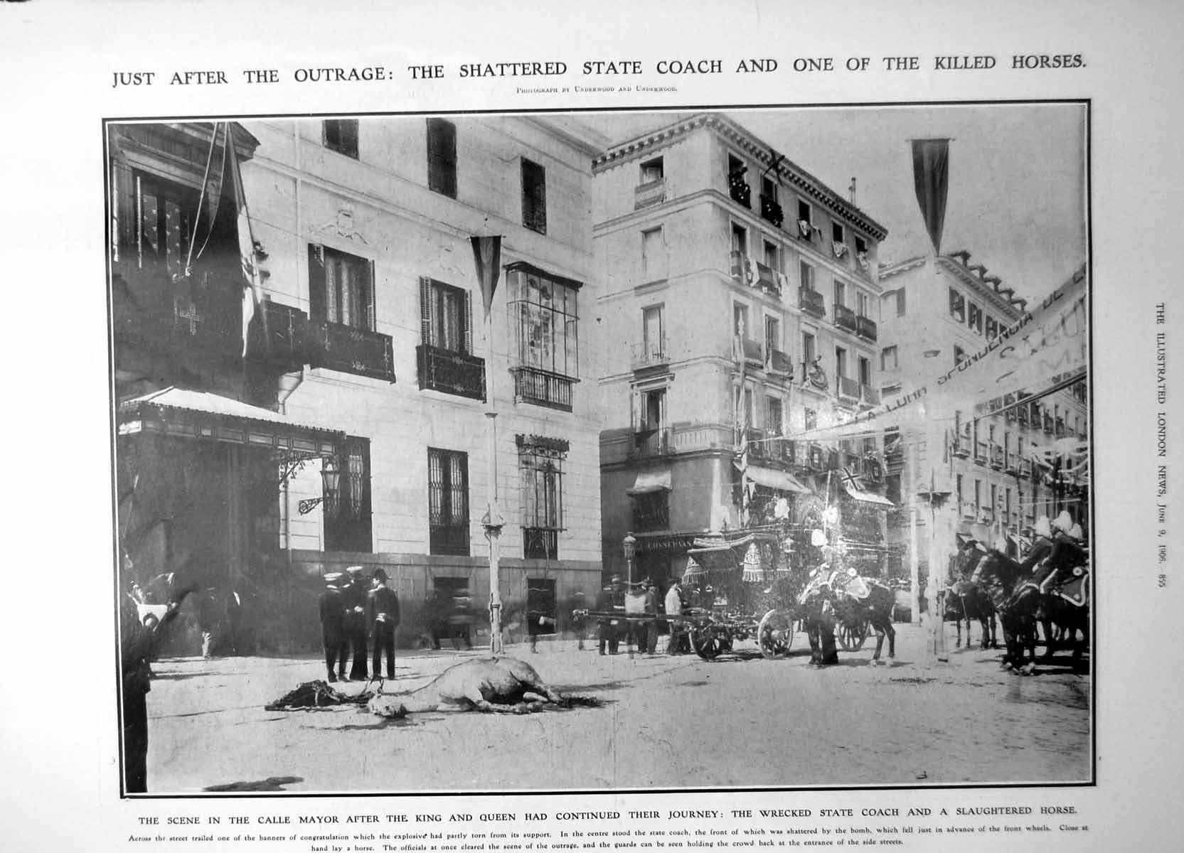 Old After Bomb State Coach Killed Horse Spanish Beauty Gypsy Carmen1906 20th