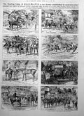 Old Ellimans Embrocation Entente Cordiale Emblems Flowers Penge 1906 20th
