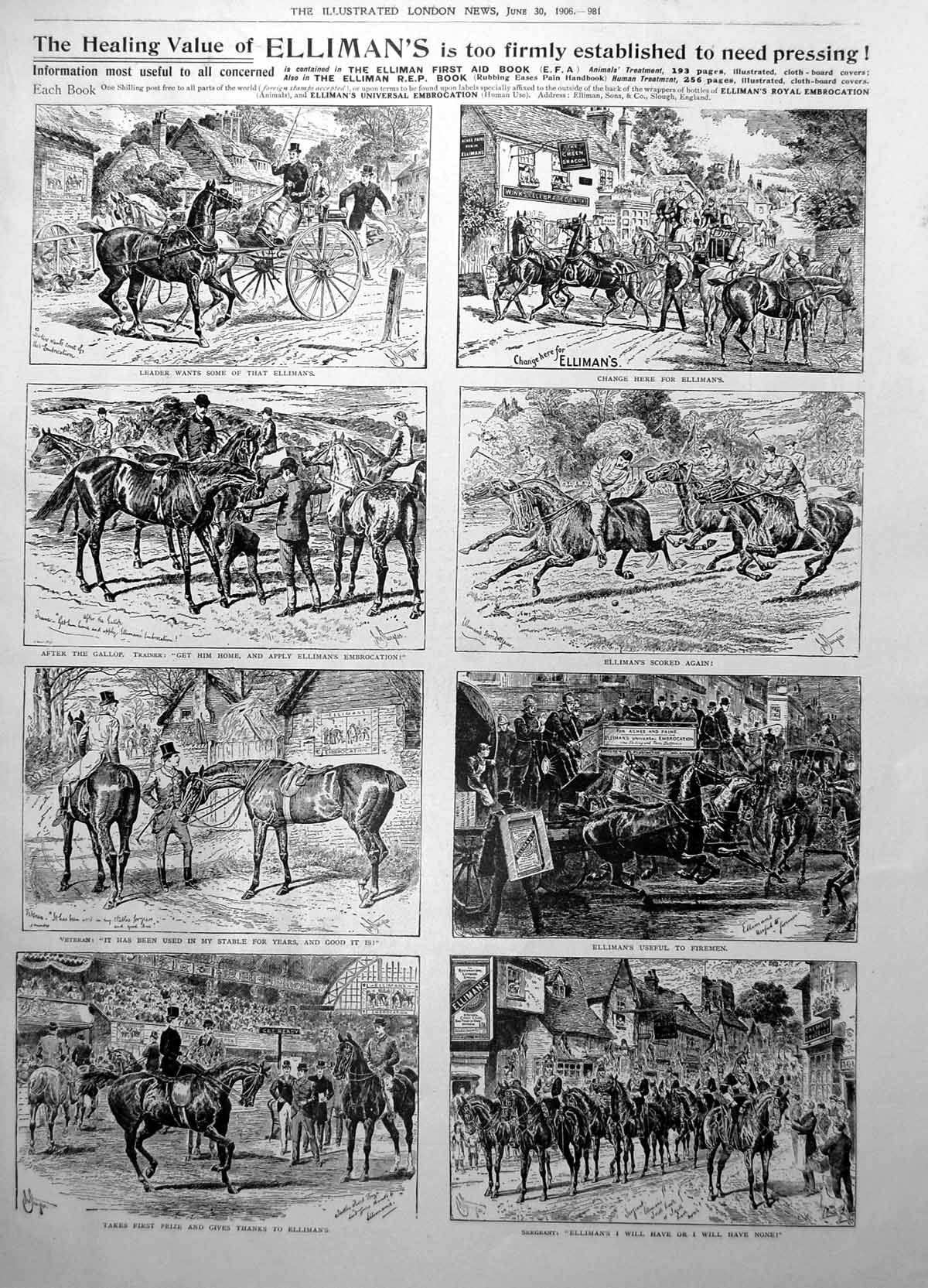 Old Ellimans Embrocation Entente Cordiale Emblems Flowers Penge 1906 20th