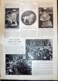 Old 1908 Poodle Garden Party Dogs Fagan Honey Greenaway Bank Lipton R 20th