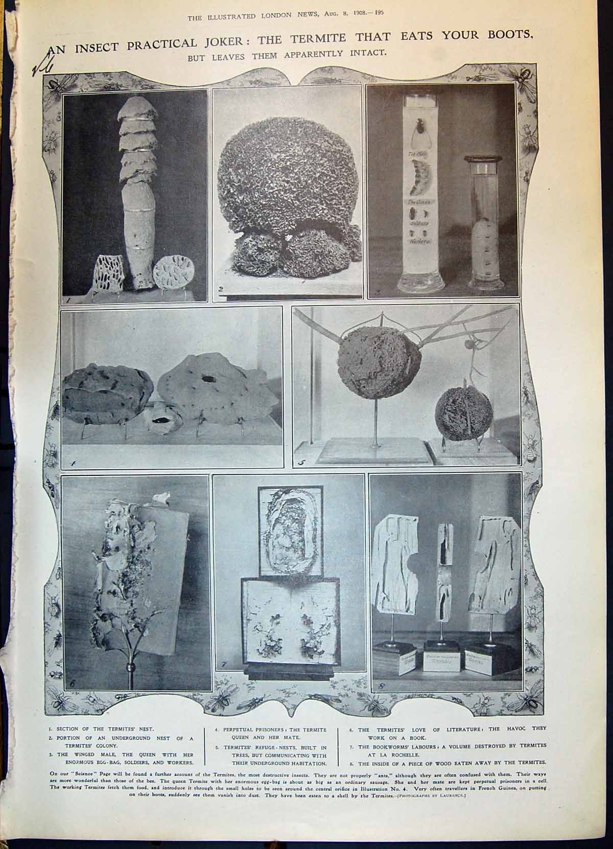 Old 1908 Termite Insect Science Theatre Polyeucte Electra Greek Jewel 20th