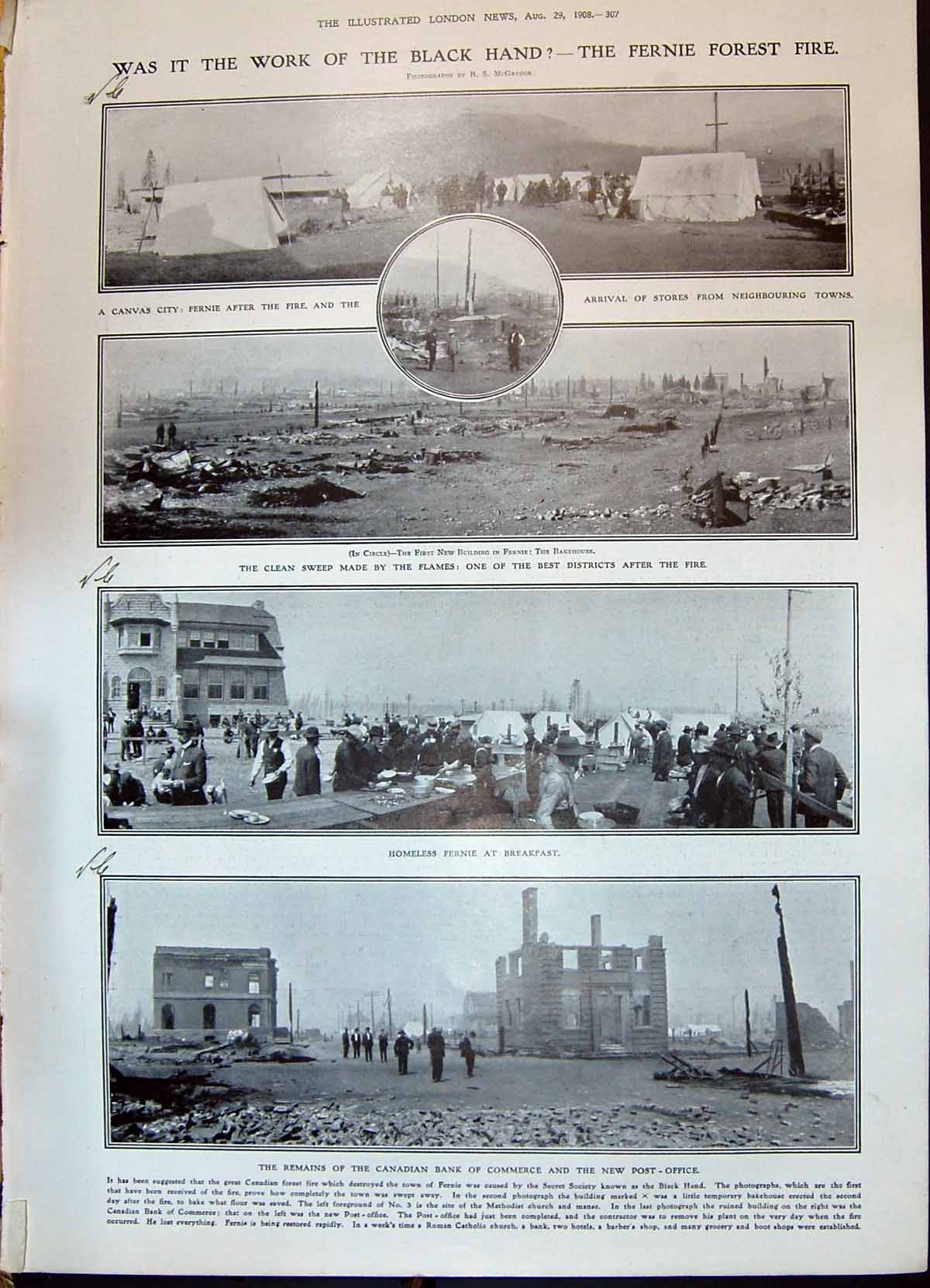 Old 1908 Bank Commerce Post Office Fernie Forest Fire Science Lizard 20th