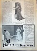 Old 1908 Ladies Fashion Smart Demi-Toilette Hall'S Distemper Sissons 20th
