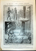 Old 1908 South Sea Islanders Catching Tree-Crab Hop-Field Glasgow Col 20th