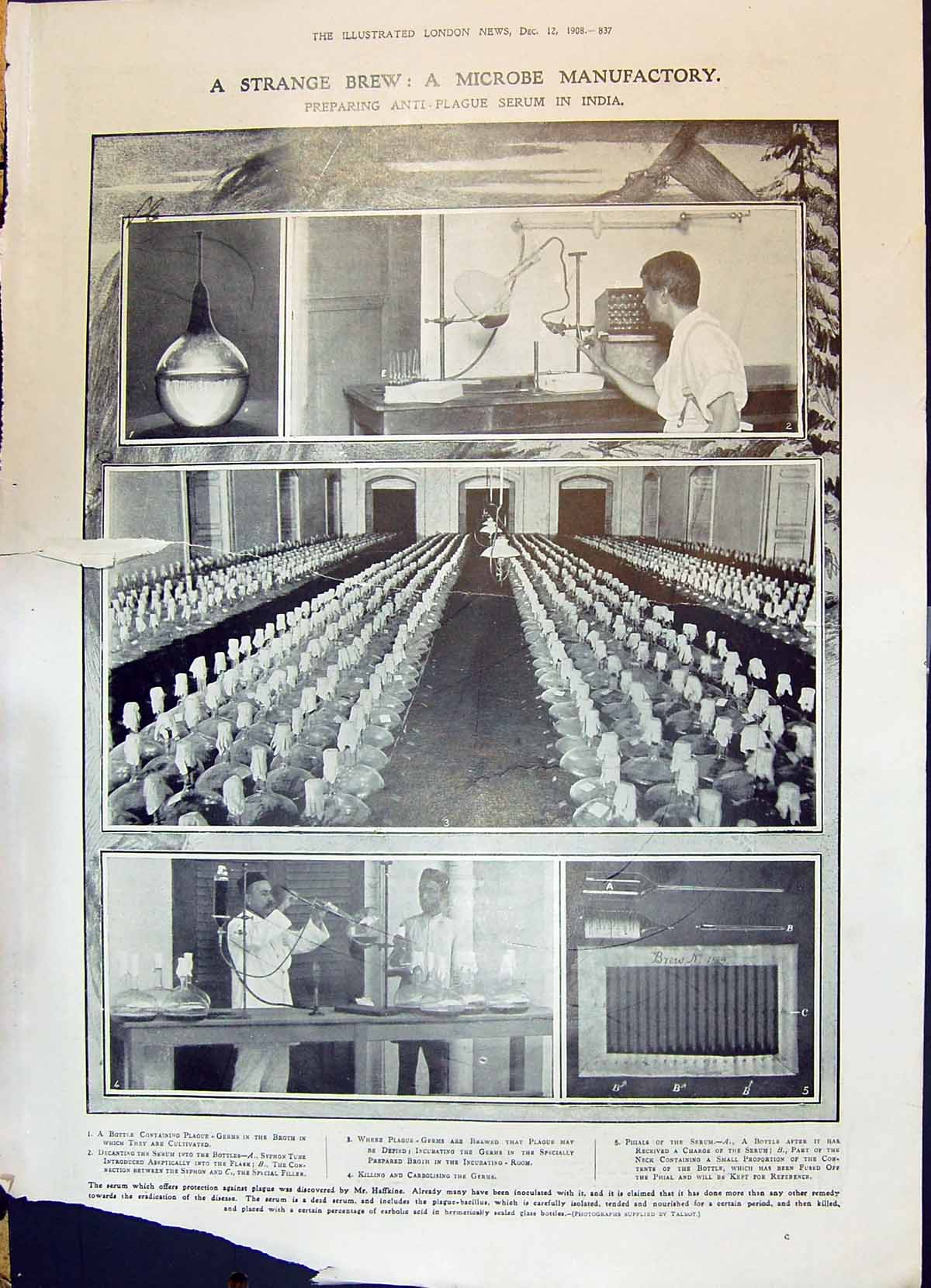 Old 1908 Microbe Manufactory Anti-Plague Serum India Mountains Stanle 20th