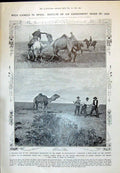 Old 1910 Wild Camels Spain Guadalquivir Marisma Fraser Macnaughtan Bu 20th