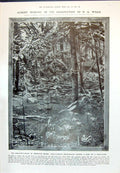 Old 1910 Cocoanut Crabs Christmas Island Sago-Palm Petersburg Muscovi 20th