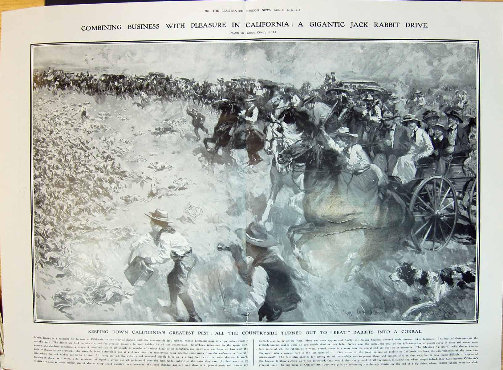 Old 1910 Jack Rabbit Drive California America Hunting Corral Dogs Hor 20th