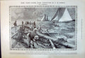 Old 1910 Yacht Racing Sport Science Ants Beetle Atelura Smaragdina An 20th