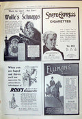 Old 1910 Wolfe'S Schnapps Express Cigarettes Ellimans Ross Ginger Ale 20th