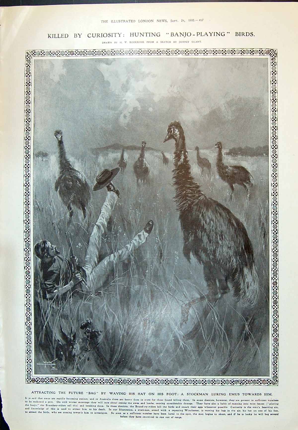 Old 1910 Hunting Stockman Emu Birds Australia Wireless Telephony Trai 20th