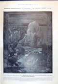 Old 1910 Jungle Book Wild Elephant Drought Stag Water Truce Science F 20th