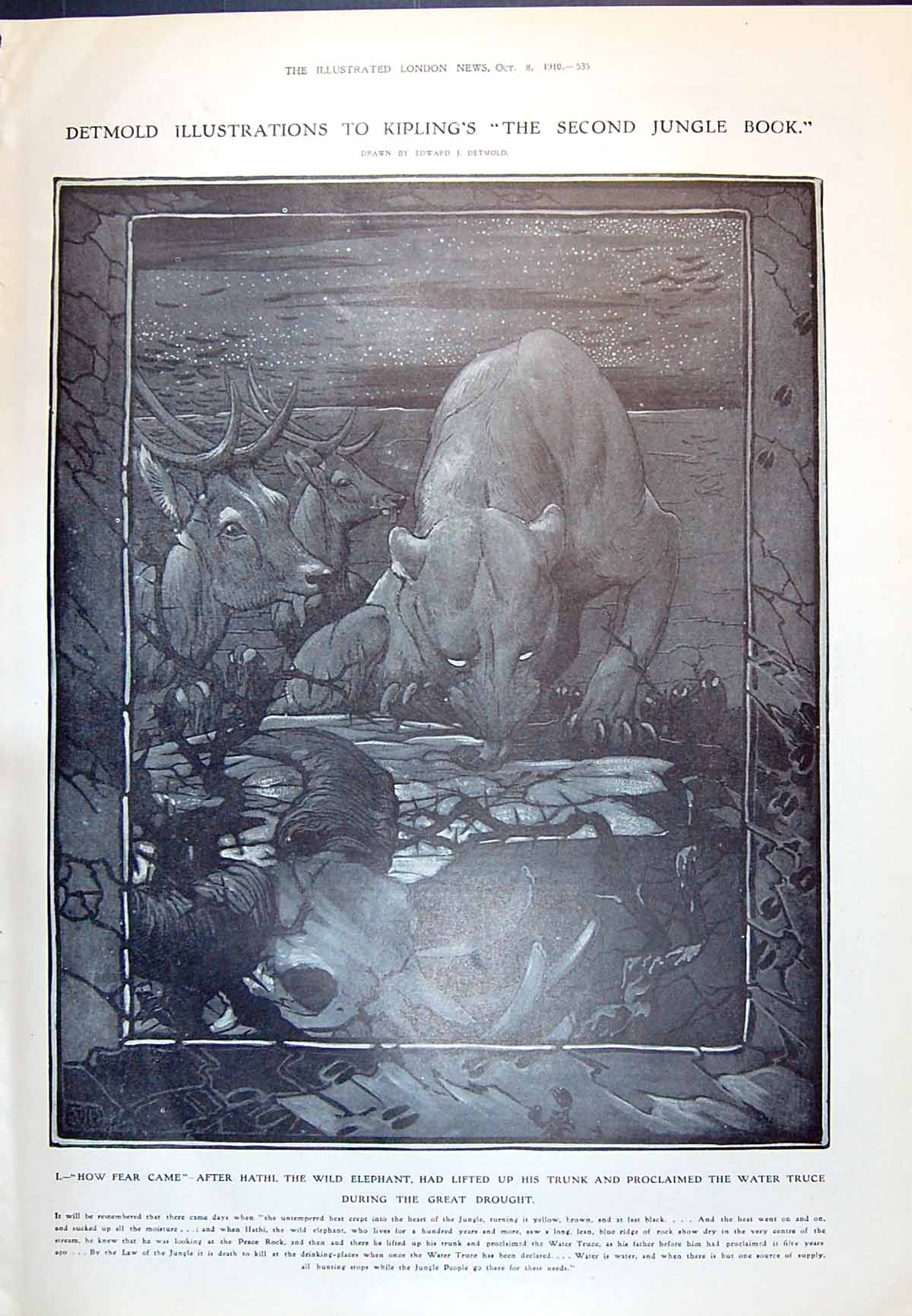 Old 1910 Jungle Book Wild Elephant Drought Stag Water Truce Science F 20th