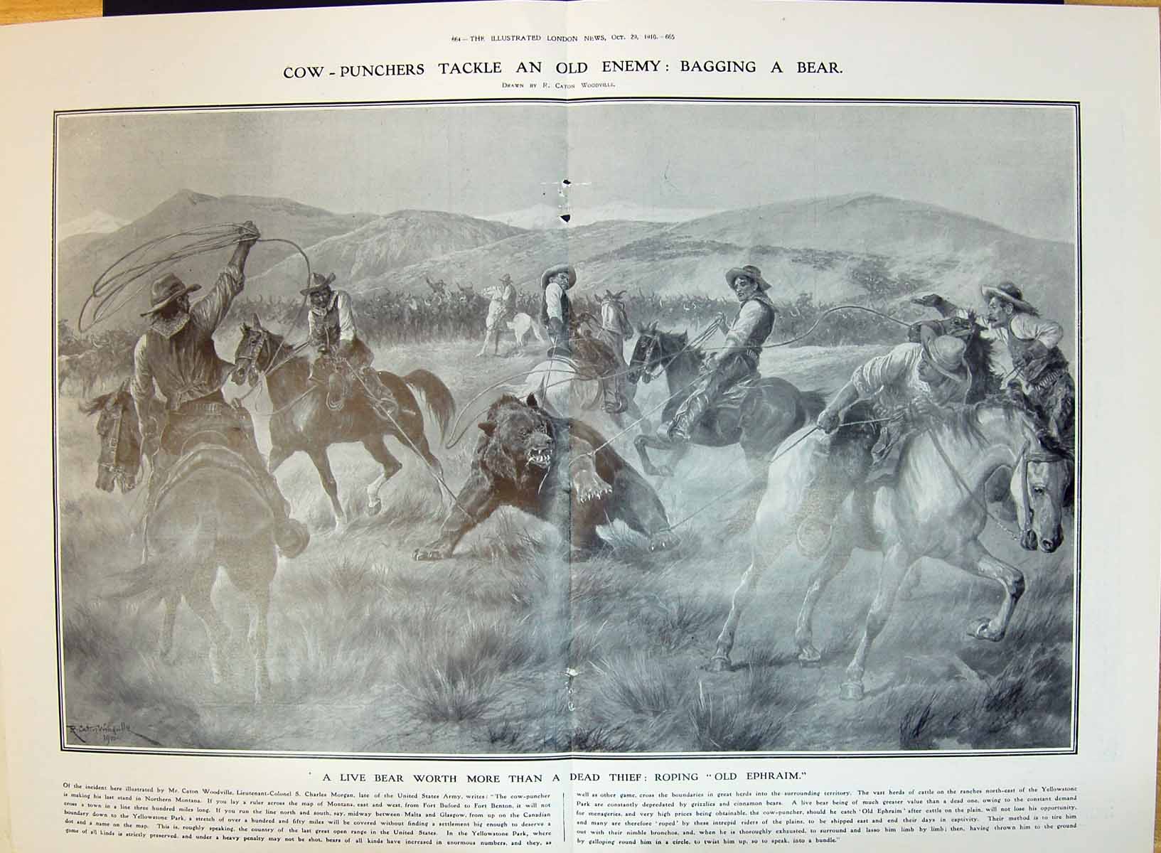 Old 1910 Cow Punchers Bagging Bear Roping Ephraim Charles Morgan Amer 20th